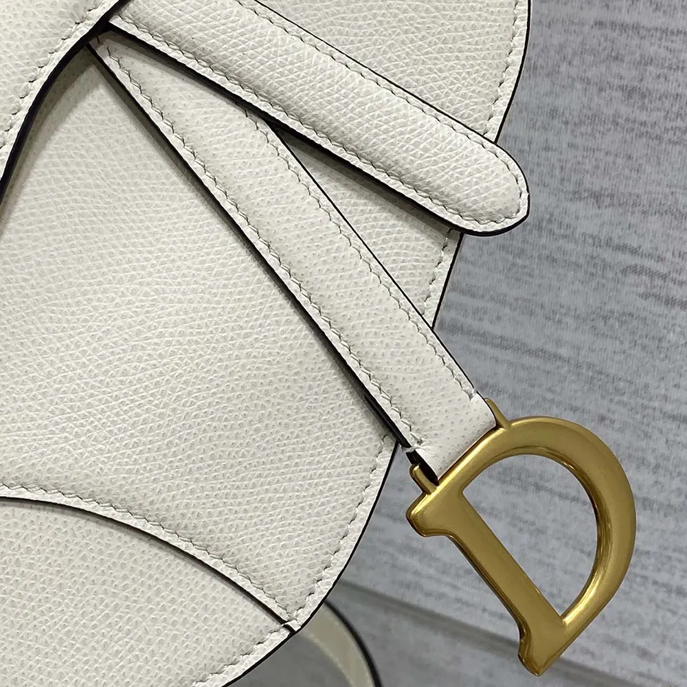 Dior Women Mini Saddle Bag with Strap Latte Grained Calfskin - image 8