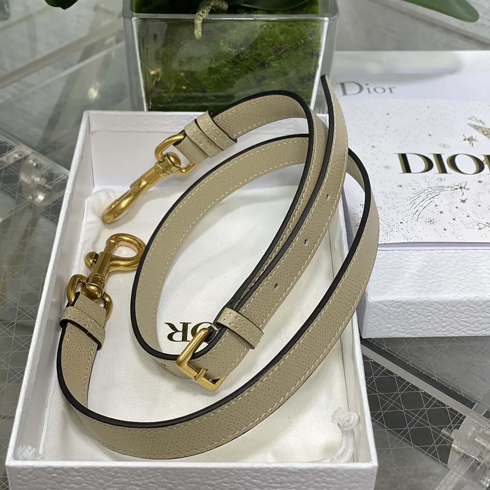 Dior Women Saddle Bag with Strap Sand-Colored Grained Calfskin - image 10