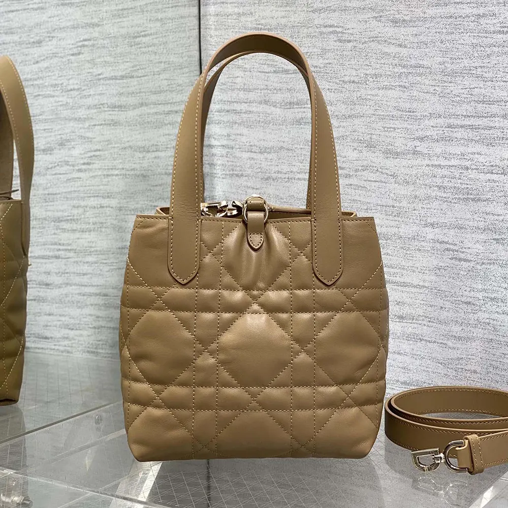 Side angle showing gold-tone hardware on Dior Women Small Dior Toujours Vertical Tote Bag