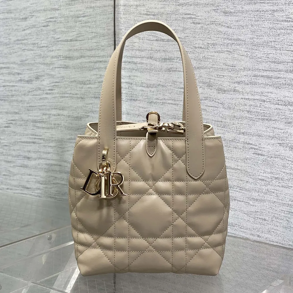 Side profile showing slim vertical silhouette of Dior Women Small Dior Toujours Vertical Tote Bag