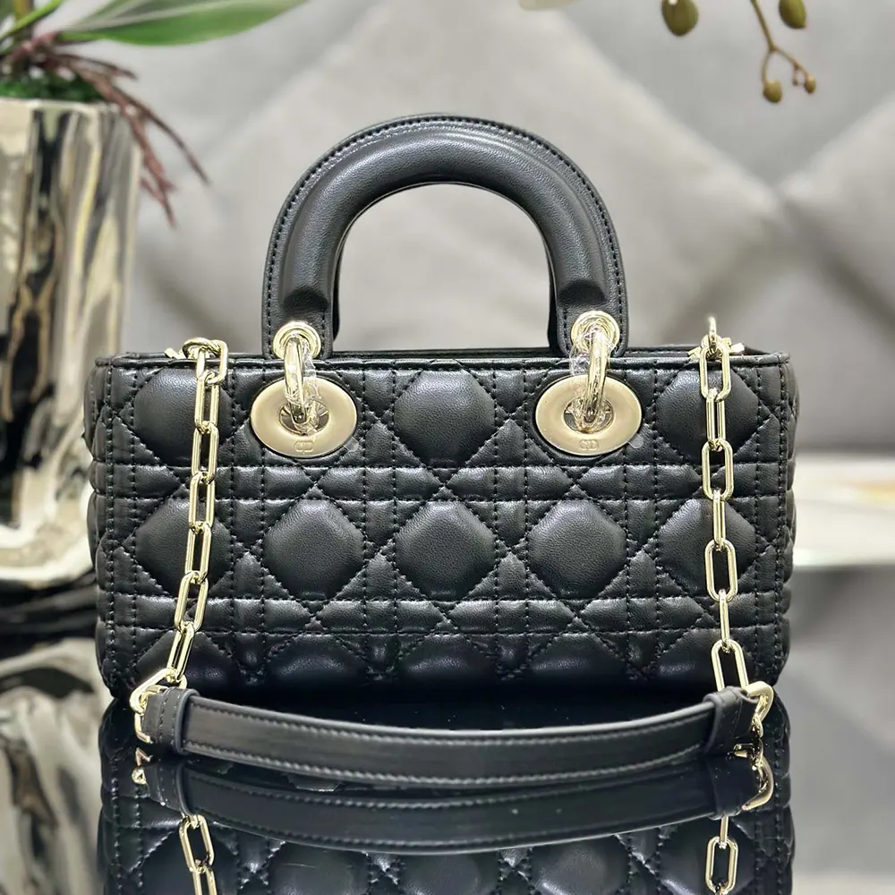 Side angle showing silver hardware on Dior Women Small Lady D-Joy Bag
