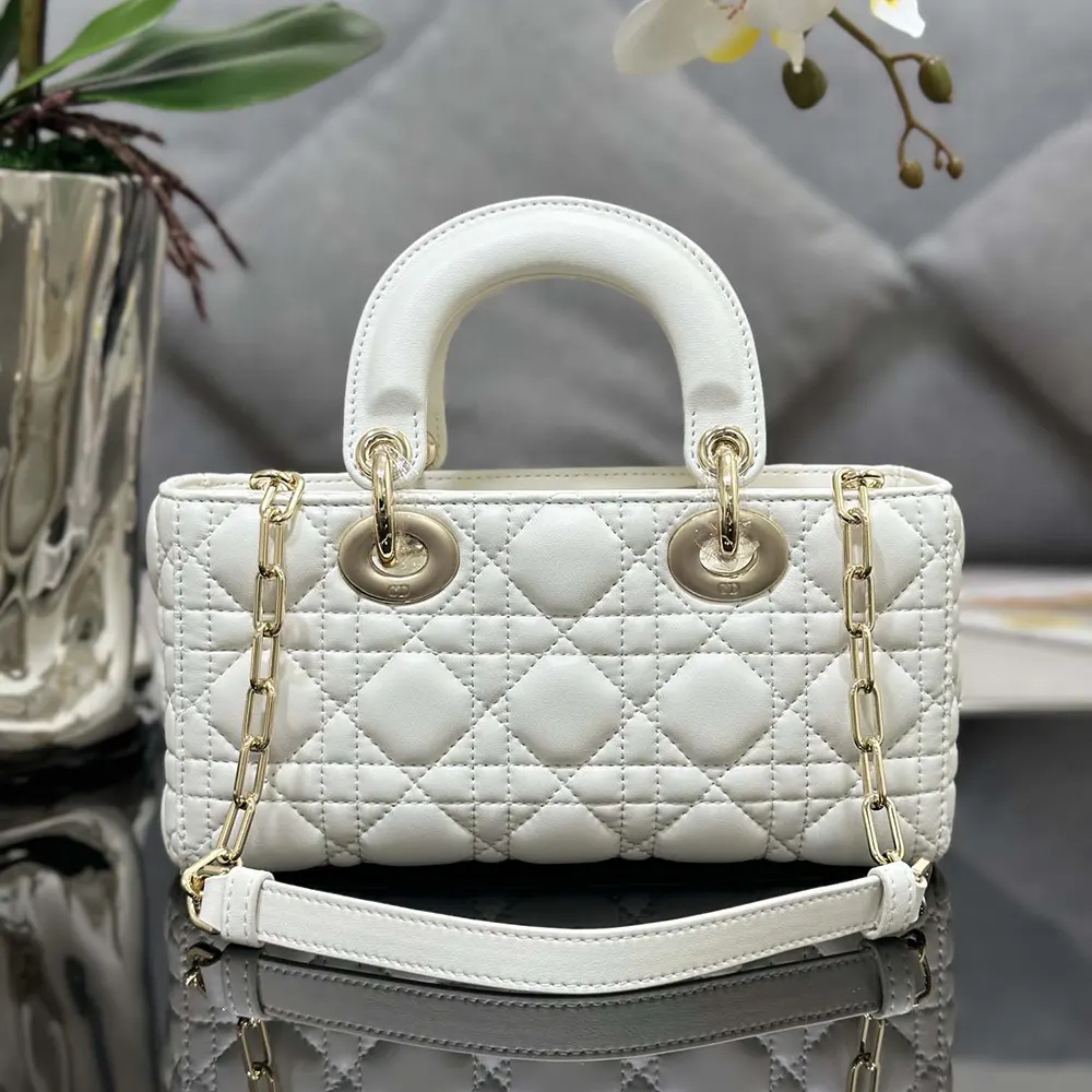 Side angle showing silver-tone hardware on Dior Women Small Lady D-Joy Bag