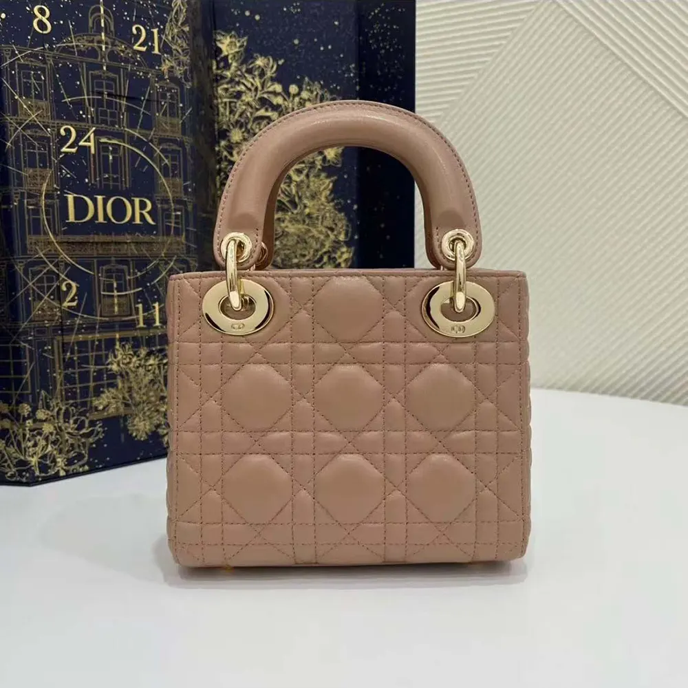 Side angle showing Mini Lady Dior Bag compact silhouette and strap