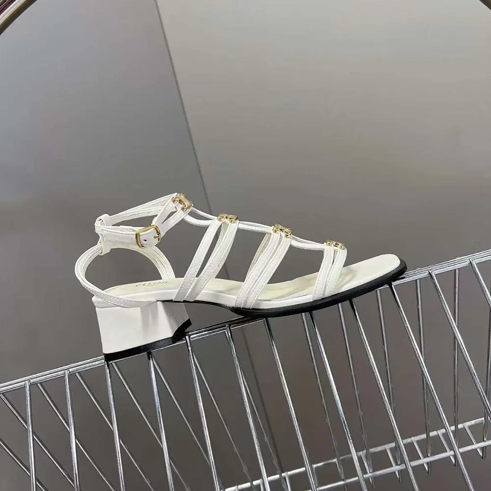 Top angle showing adjustable buckle of Celine Women Clemence Multi Triomphe Sandal