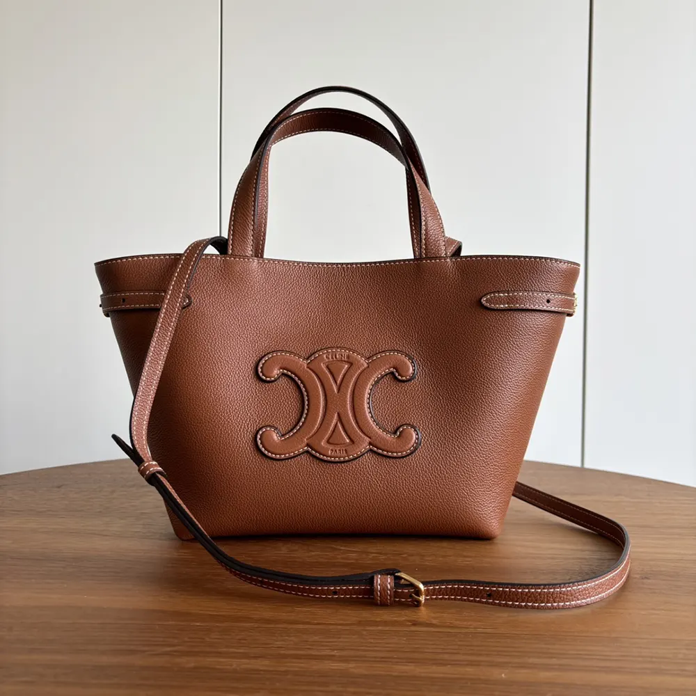 Close-up of gold Triomphe clasp on Celine Mini Cabas Anais bag