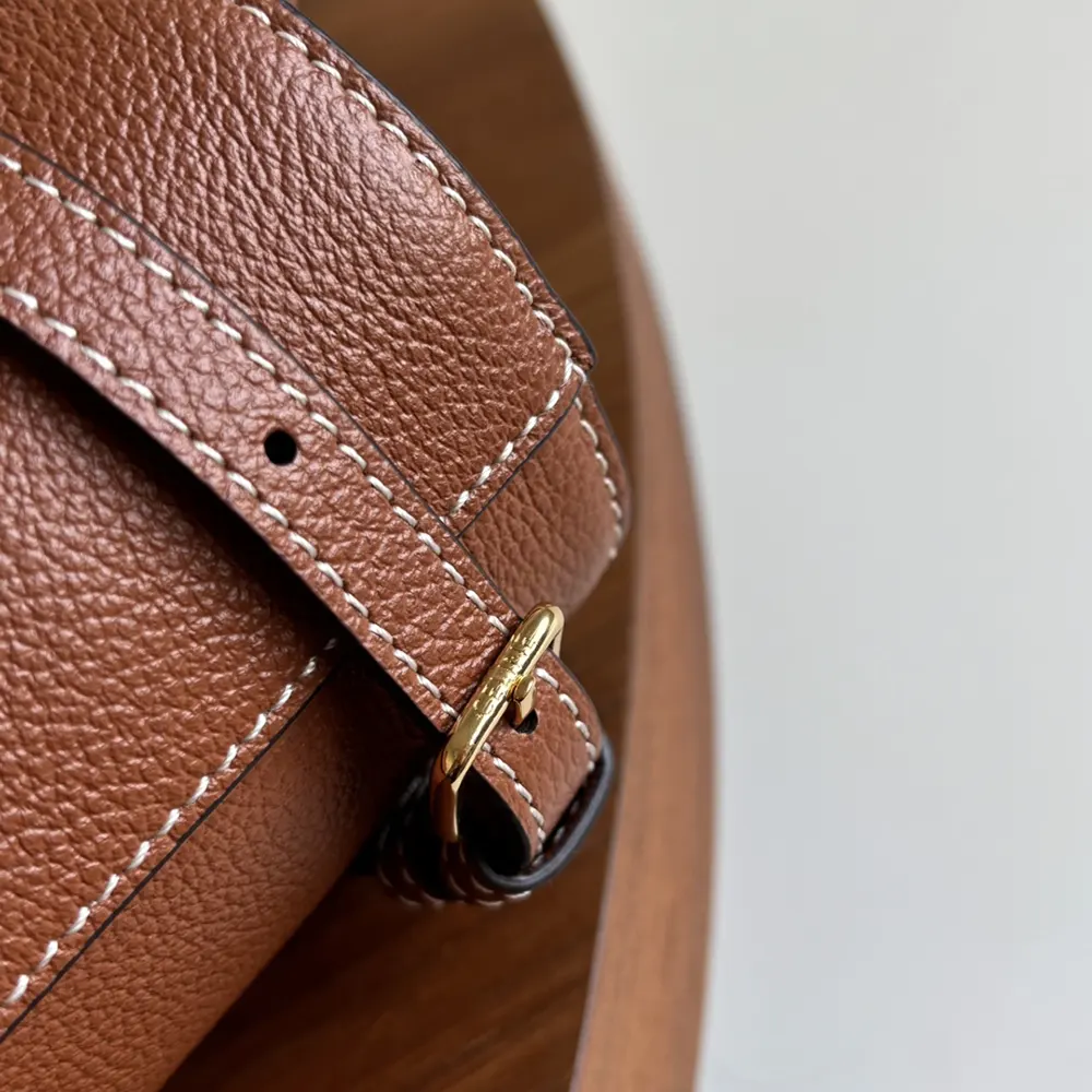 Celine Unisex Mini Cabas Anais Cuir Triomphe in Grained Calfskin-Brown - image 8