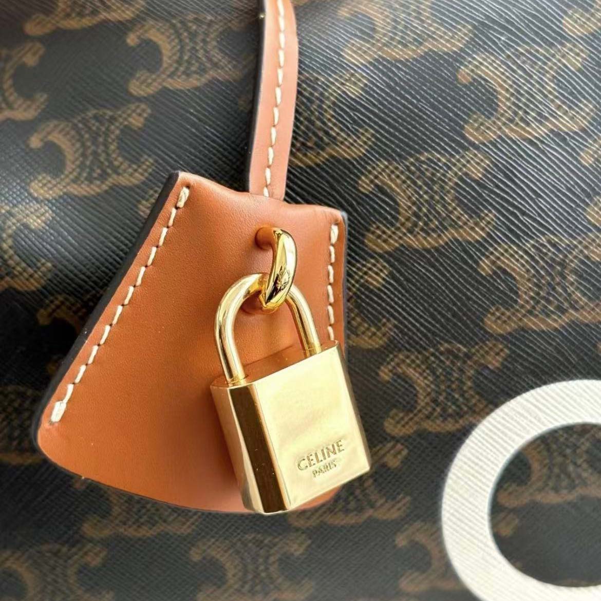 Celine Unisex Large Travel Bag in Triomphe Canvas with Celine Print - image 9