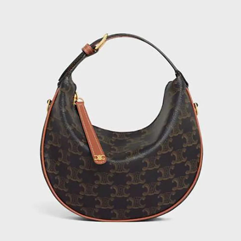 Front view of Celine Women Teen Celine Lulu in Triomphe Canvas and Calfskin