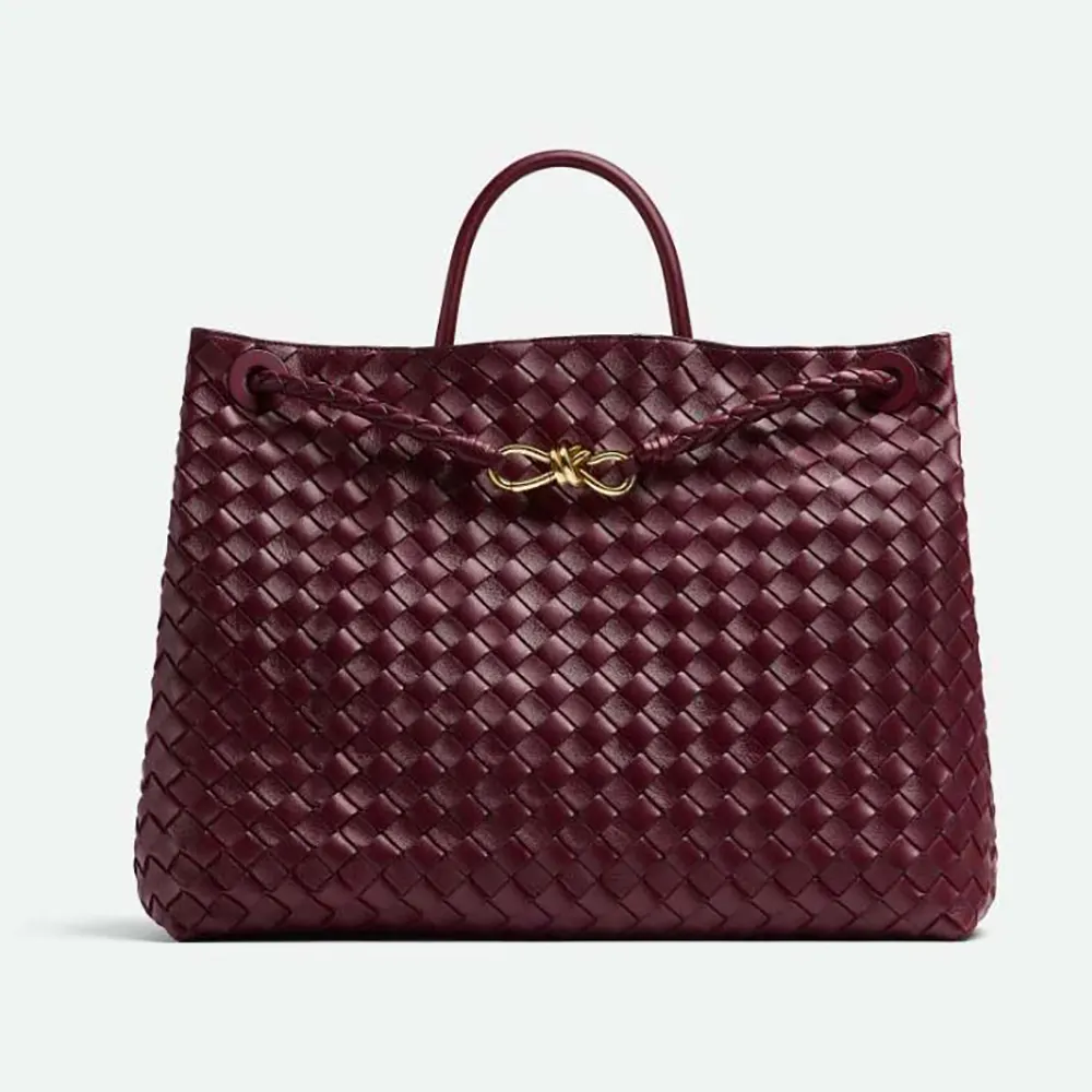 Front view of Bottega Veneta Women Large Andiamo in Lambskin Leather-Maroon