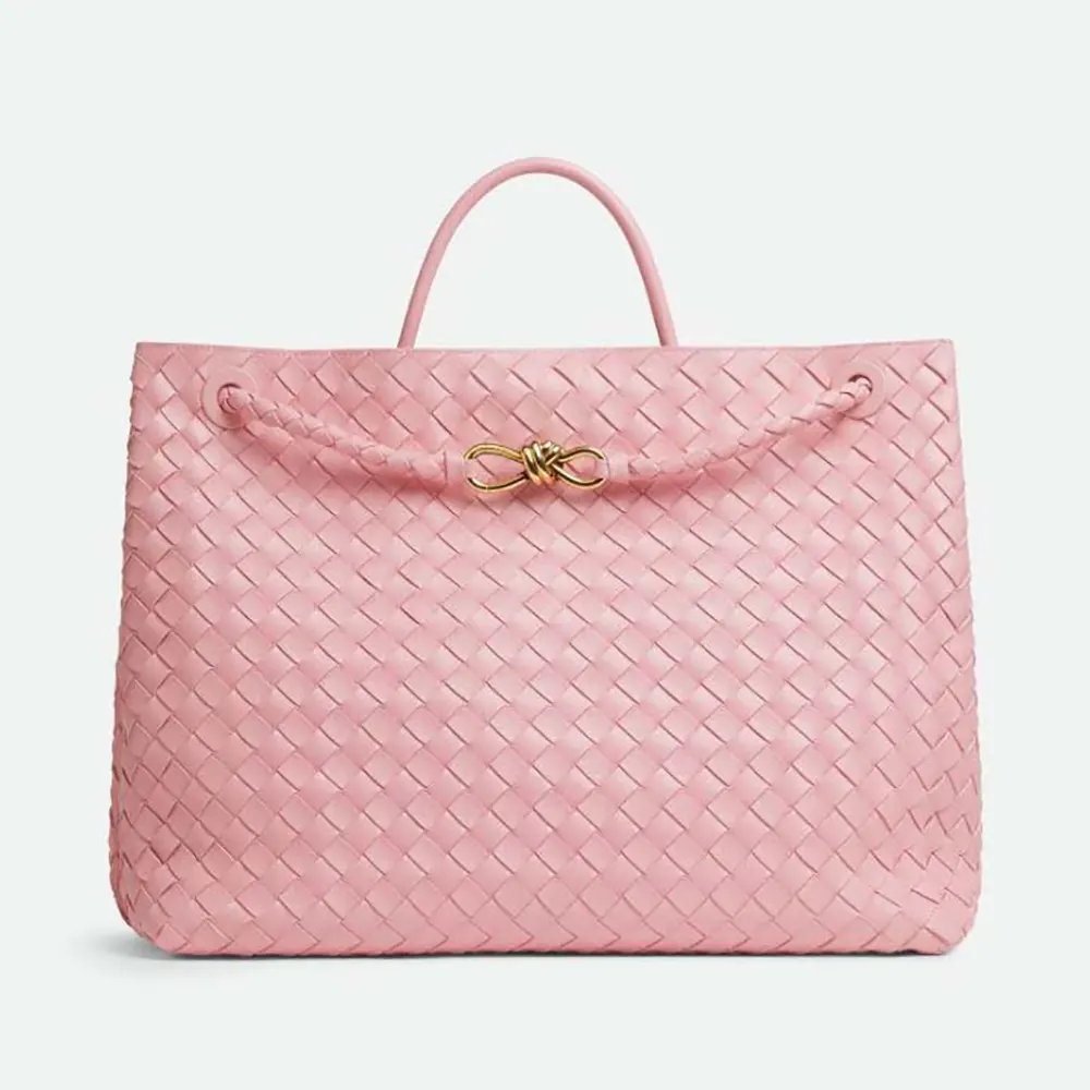 Front view of Bottega Veneta Women Large Andiamo in Pink lambskin leather