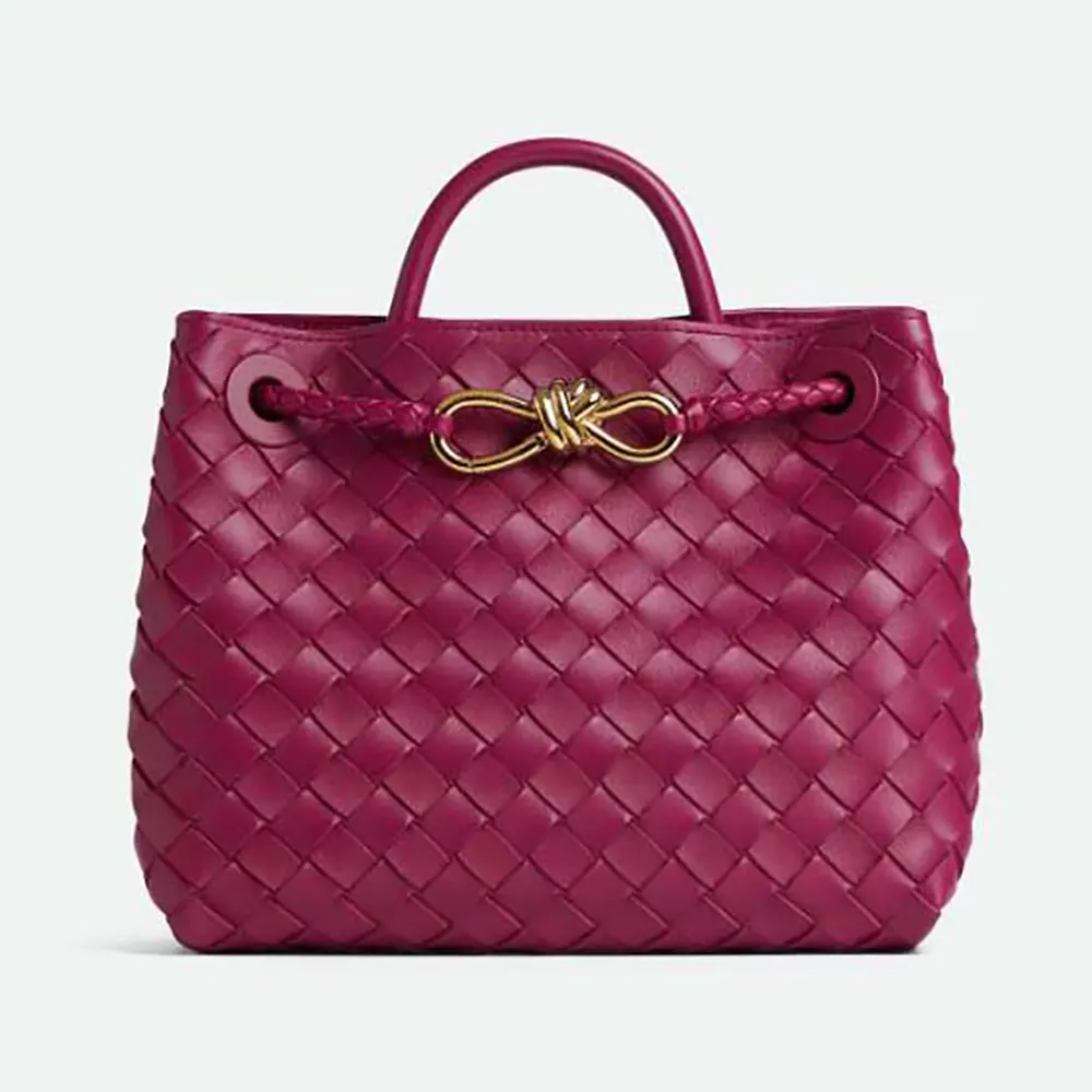 Complete Guide to the Small Andiamo Intrecciato Top Handle Bag by Bottega Veneta