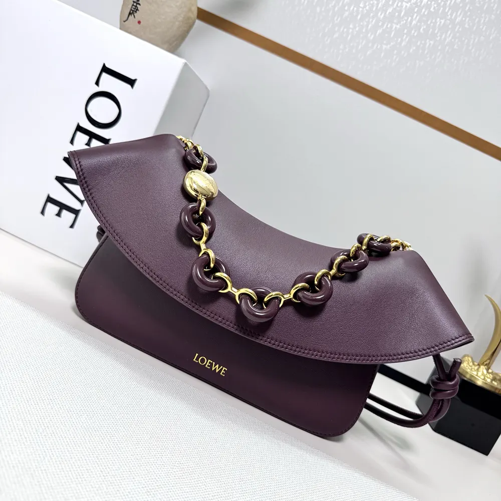 Close-up of gold-tone hardware on Loewe Women Medium Ola Bag
