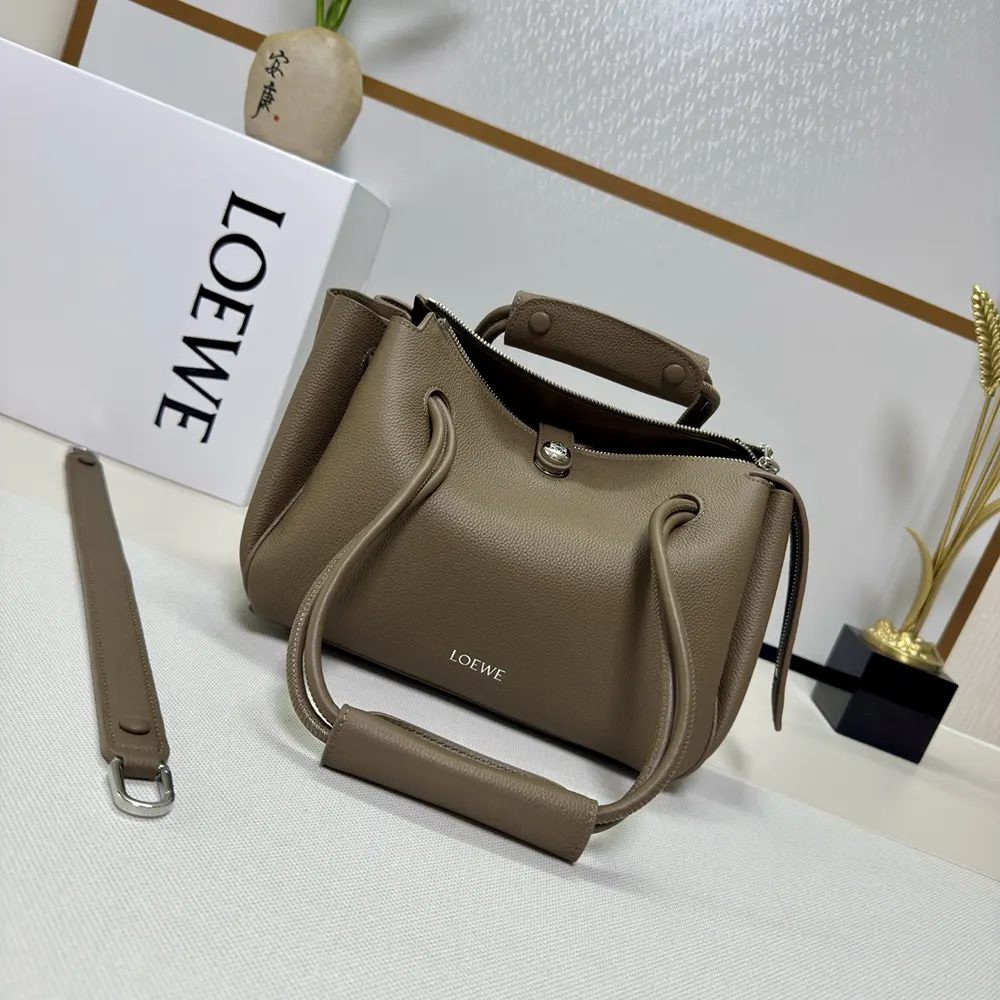Side angle showing the compact silhouette of Loewe Small Madrid Bag