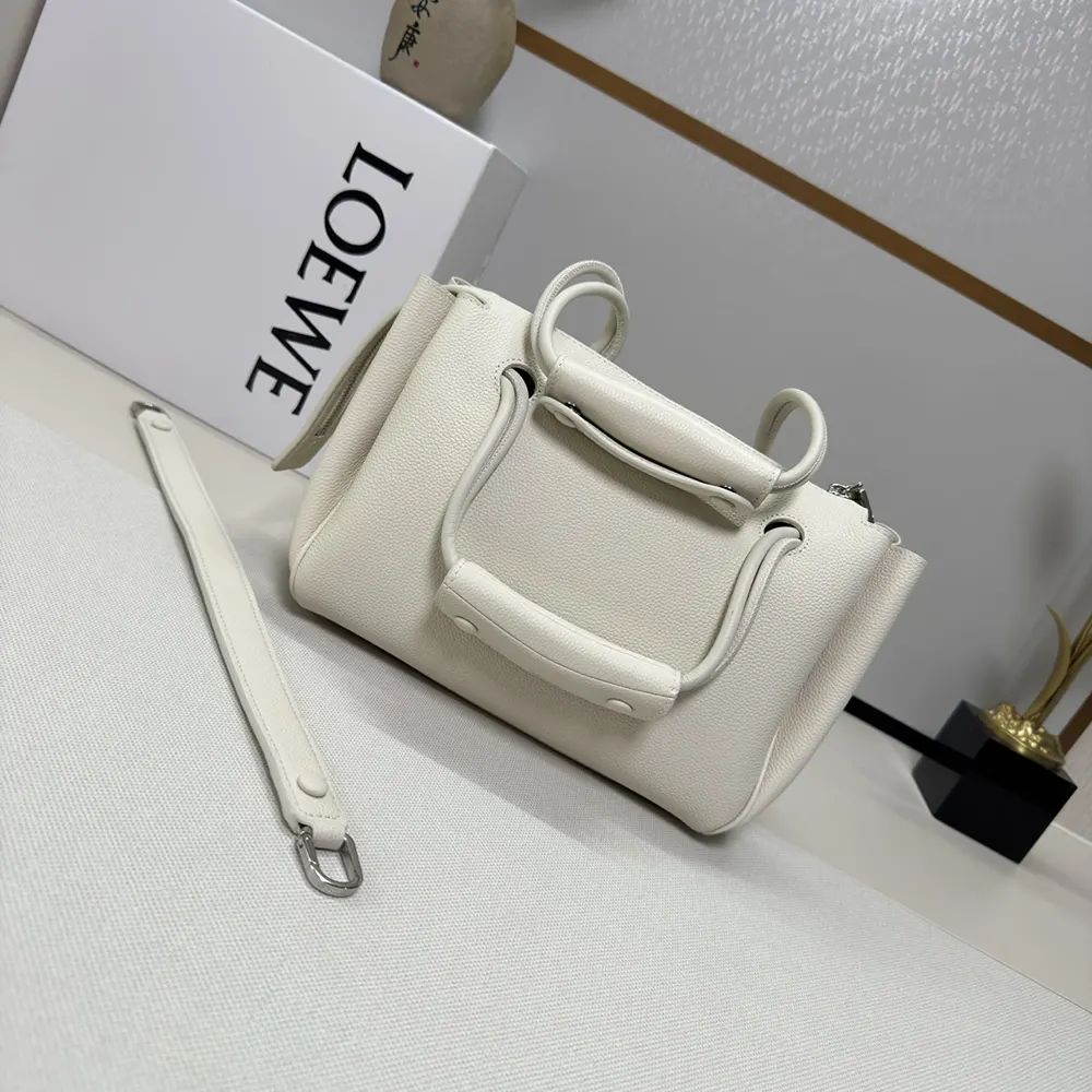Side angle showing the compact silhouette of Loewe Small Madrid Bag