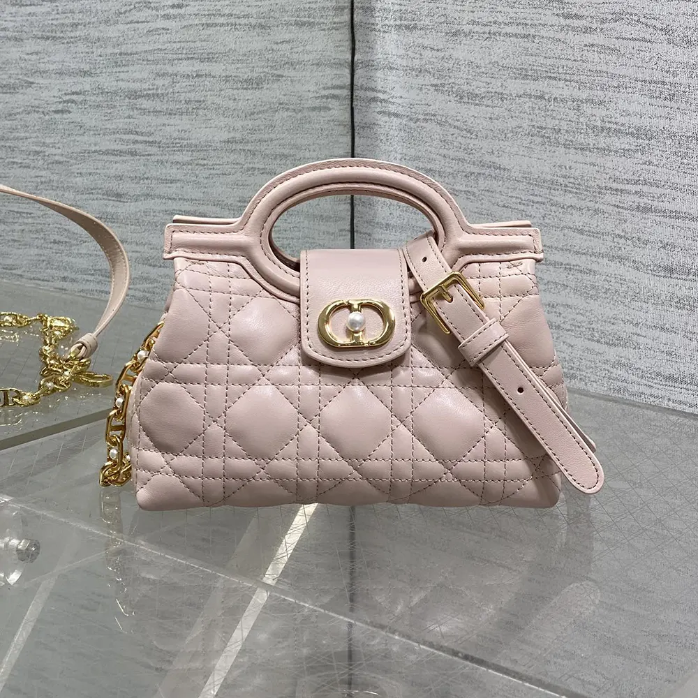 Side angle showing top handle and silhouette of Dior Women Jolie Mini Bag