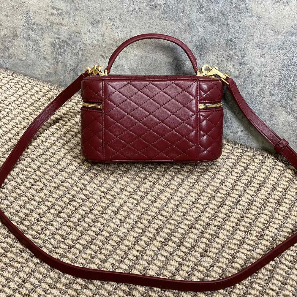 Side angle showing compact silhouette of Saint Laurent YSL Women Gaby Vanity Bag