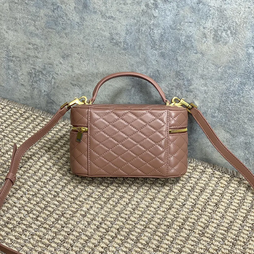 Side angle showing compact silhouette of the Saint Laurent YSL Gaby Vanity Bag
