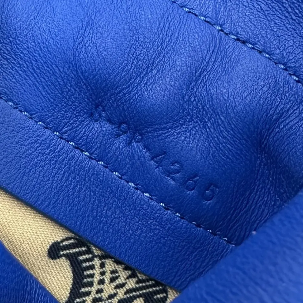 Celine Women Small Crystal Pouch in Lambskin-Blue - image 8