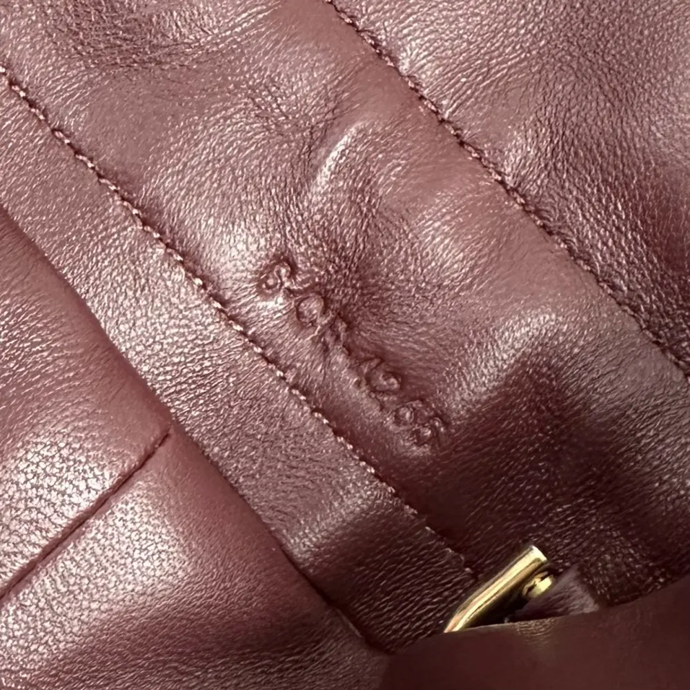 Celine Women Small Crystal Pouch in Lambskin-Maroon - image 6