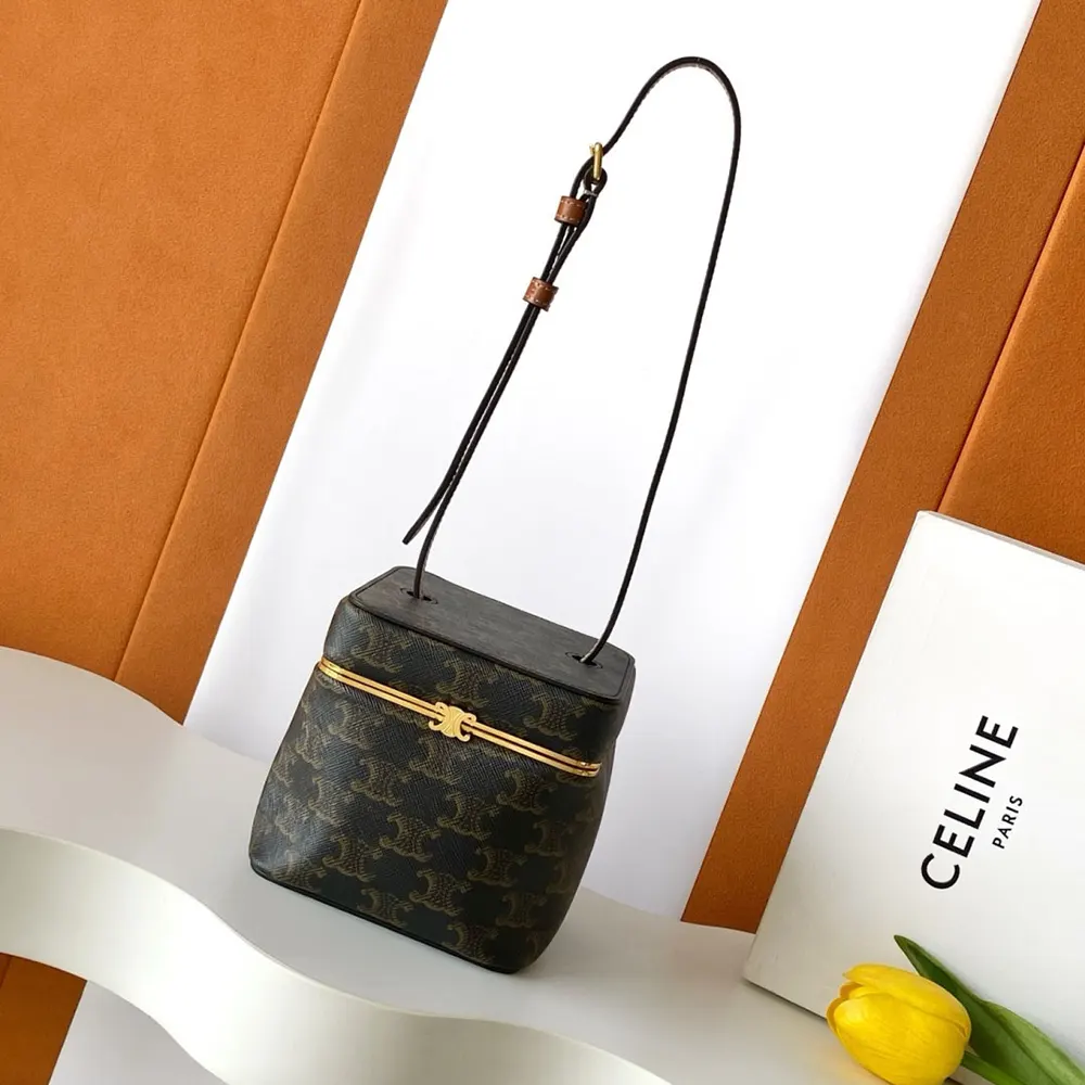 Close-up of gold-tone Triomphe closure on Celine shoulder bag