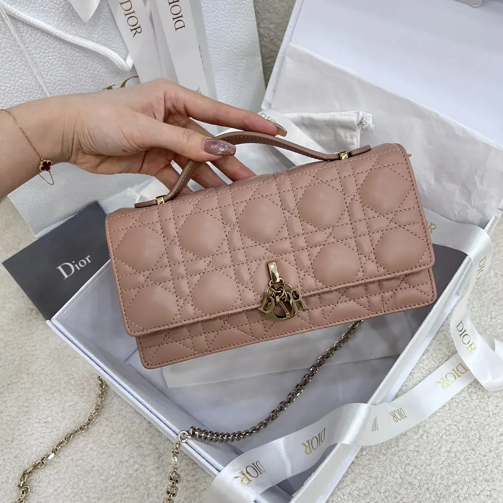 Close-up of gold Rose des Vents hardware on Dior Women My Dior Mini Bag