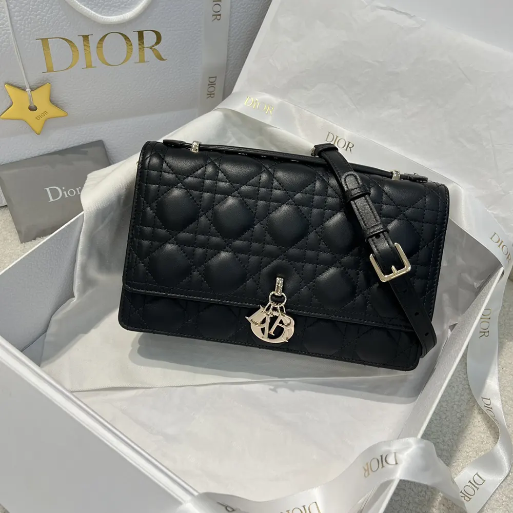Close-up of silver hardware on Dior Women My Dior Top Handle Bag