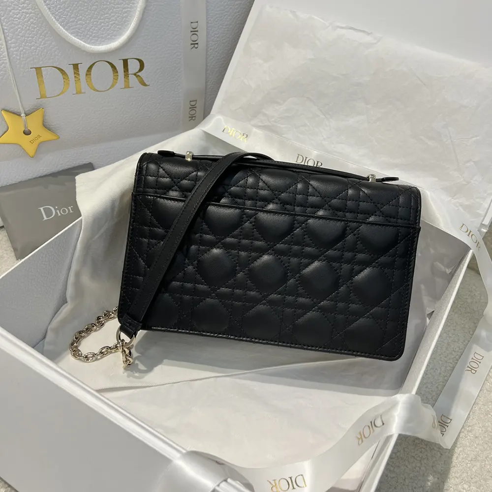 Side angle showing leather texture on Dior Women My Dior Top Handle Bag