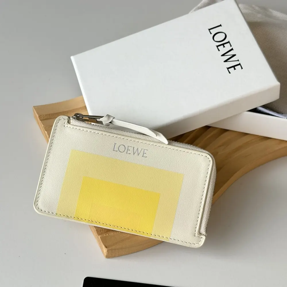 Close-up of silver hardware on Loewe Unisex Coin Cardholder