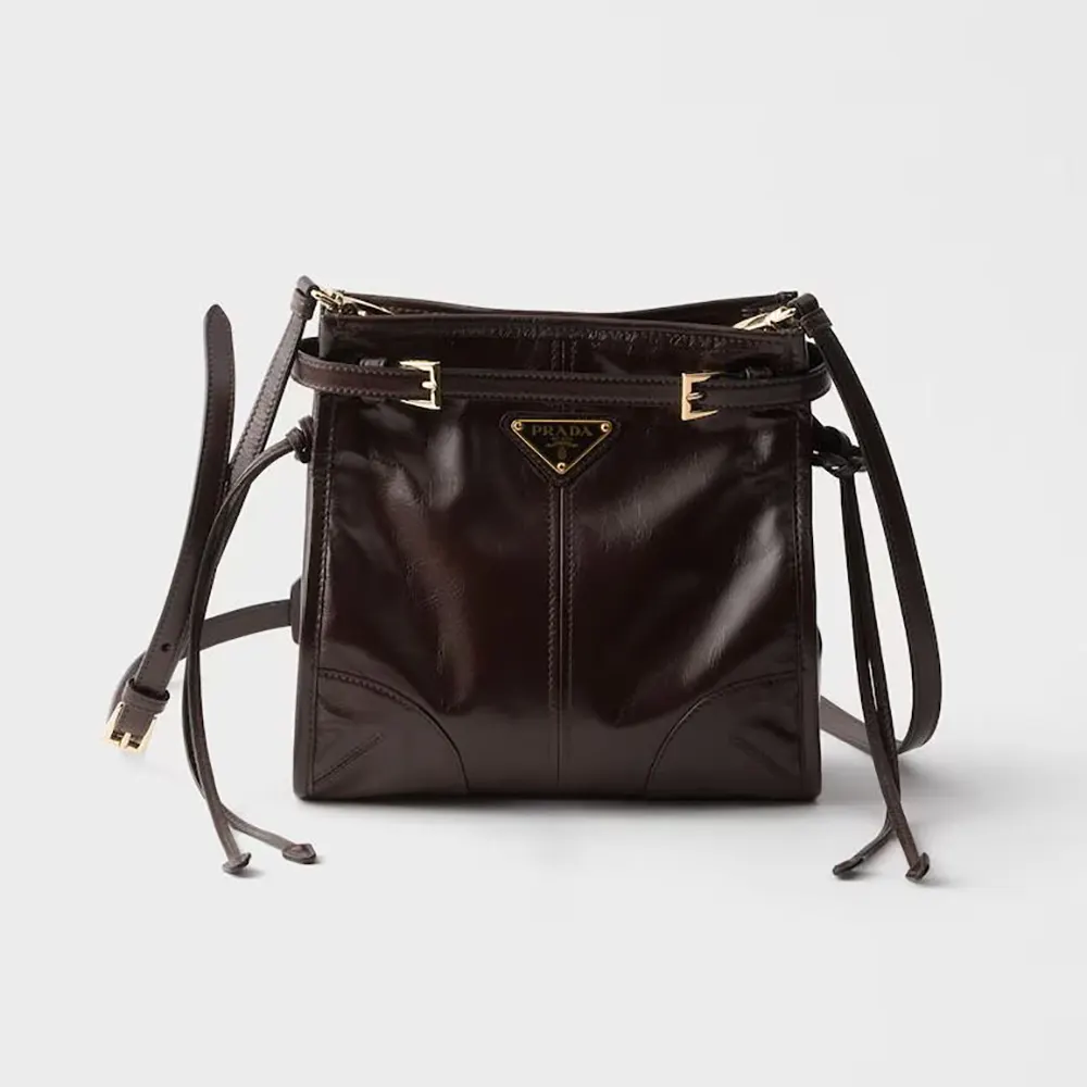 Front view of Prada Women Bonnie Leather Mini Shoulder Bag-Dark Brown