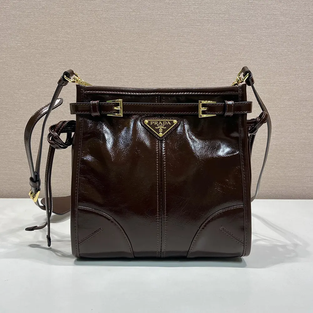 Close-up of Prada logo hardware on dark brown leather bag
