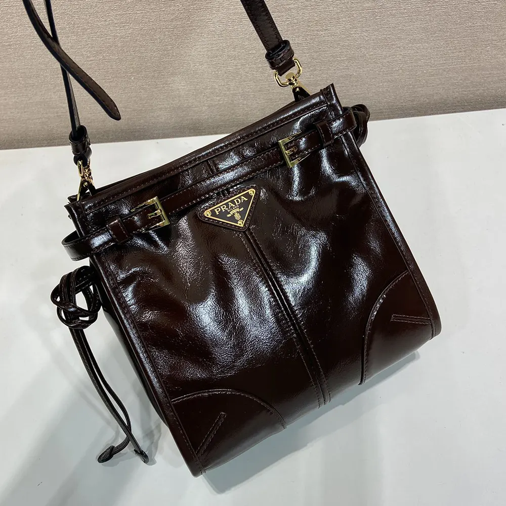 Prada Women Bonnie Leather Mini Shoulder Bag-Dark Brown - image 4