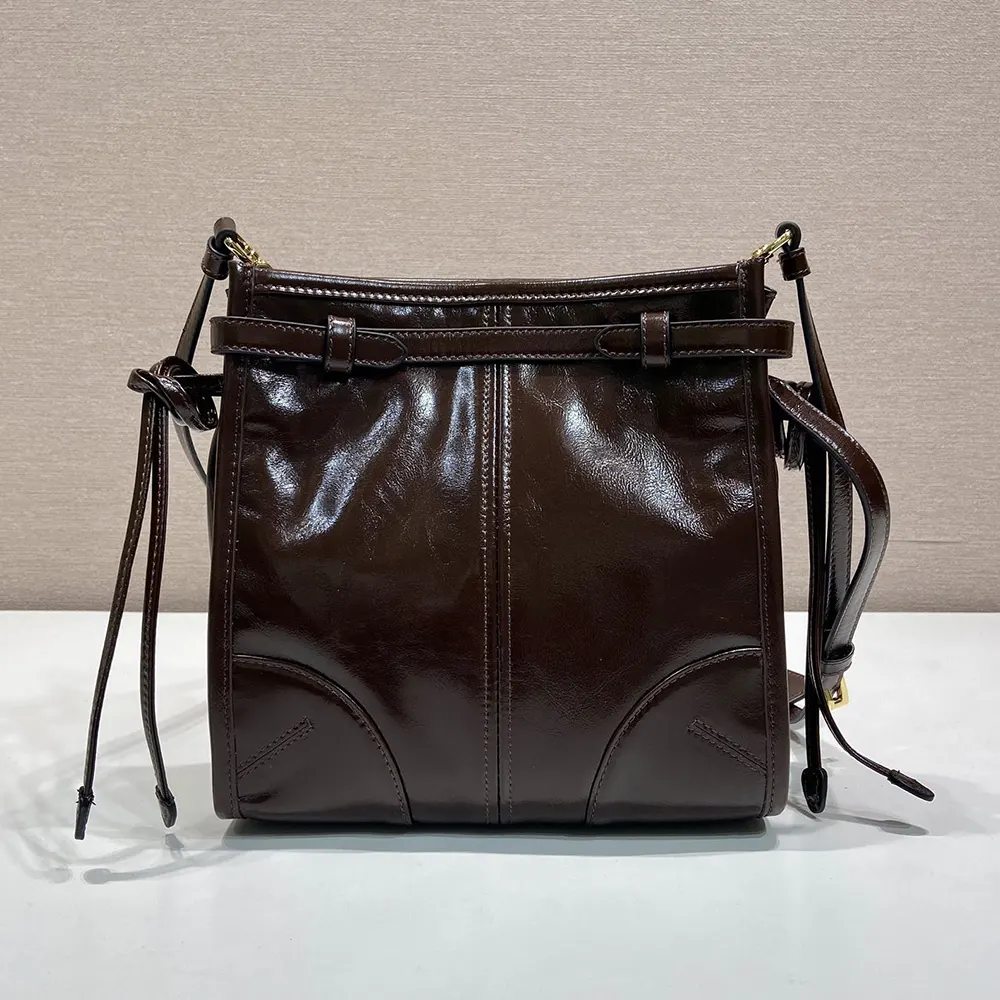 Side angle showing silhouette and strap of Prada Women Bonnie bag