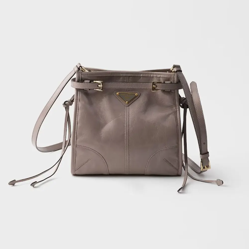 Front view of Prada Women Bonnie Leather Mini Shoulder Bag-Gray