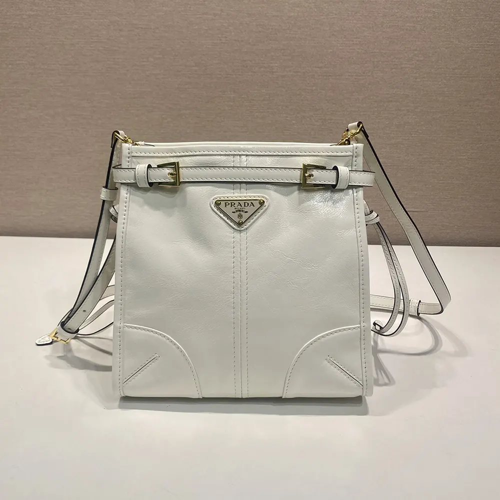 Close-up of silver hardware on Prada Women Bonnie Leather Mini Shoulder Bag-White