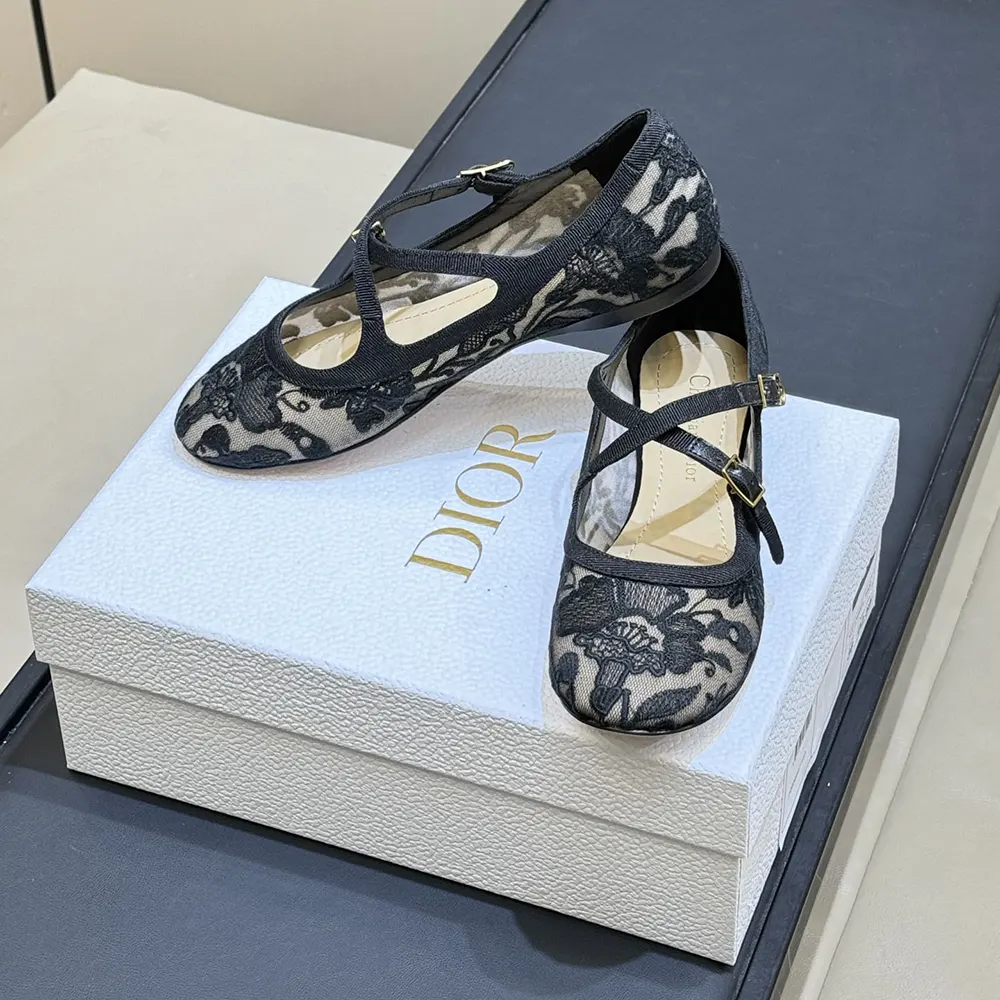 Overhead angle showing transparent mesh and silhouette of Dior Women ballet flat