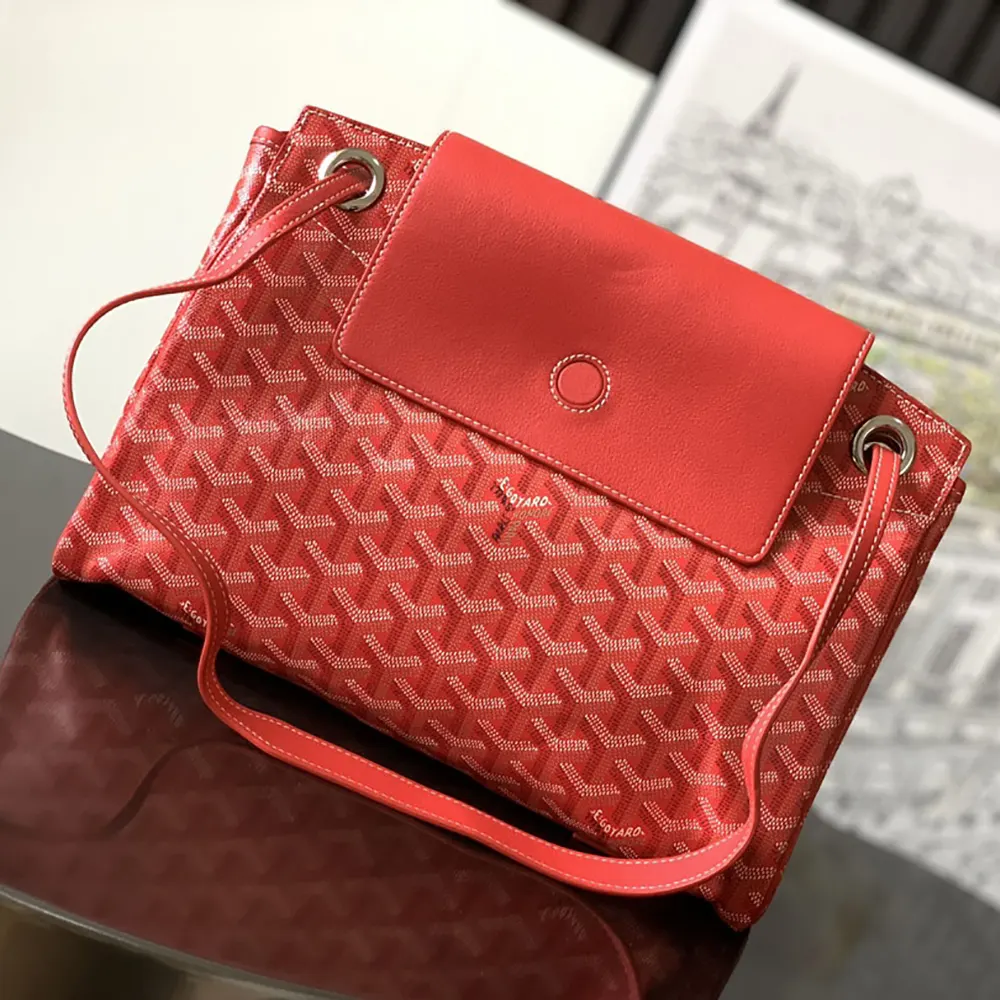 Close-up of red coated canvas and signature Goyard detail