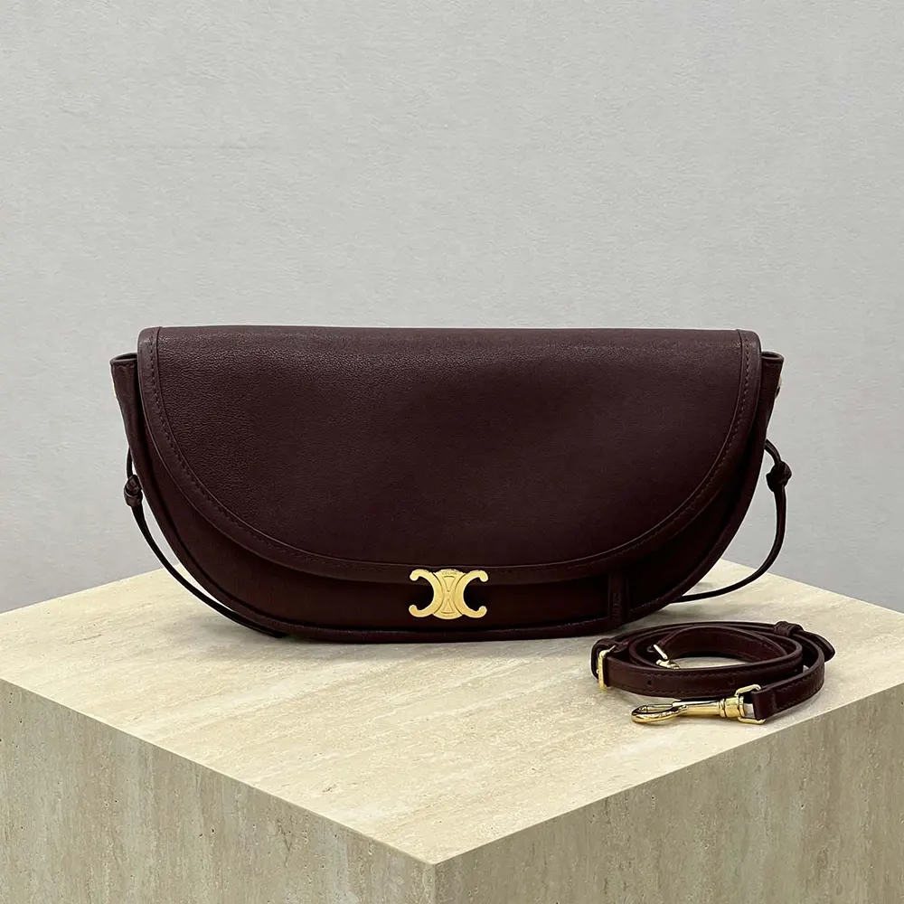 Close-up of shiny lambskin and gold Triomphe clasp on Celine bag