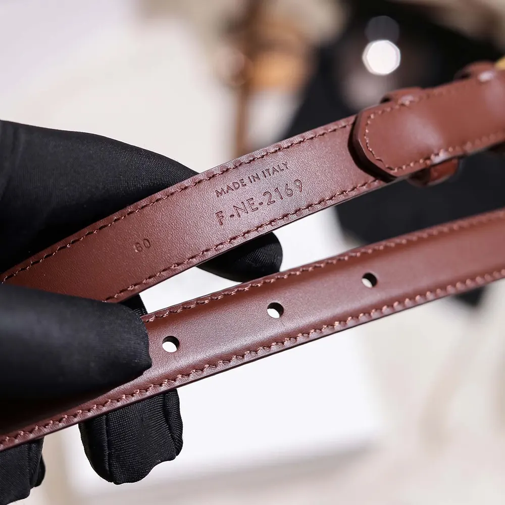 Celine Women Vivienne Belt 25Mm In Taurillon Leather-Dark Brown - image 7