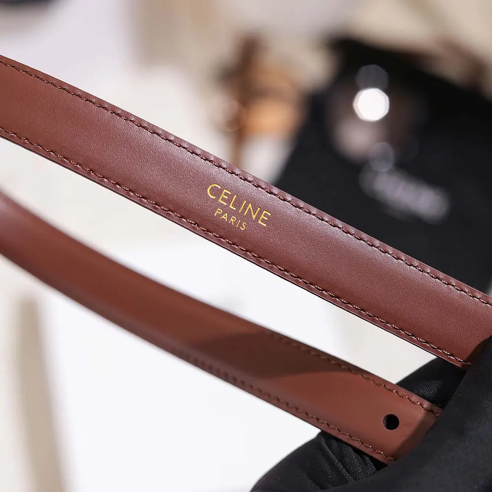Celine Women Vivienne Belt 25Mm In Taurillon Leather-Dark Brown - image 8