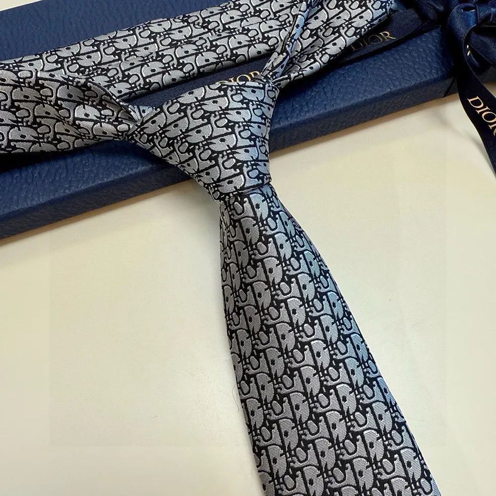 Dior Men Oblique Tie Gray Silk - image 6