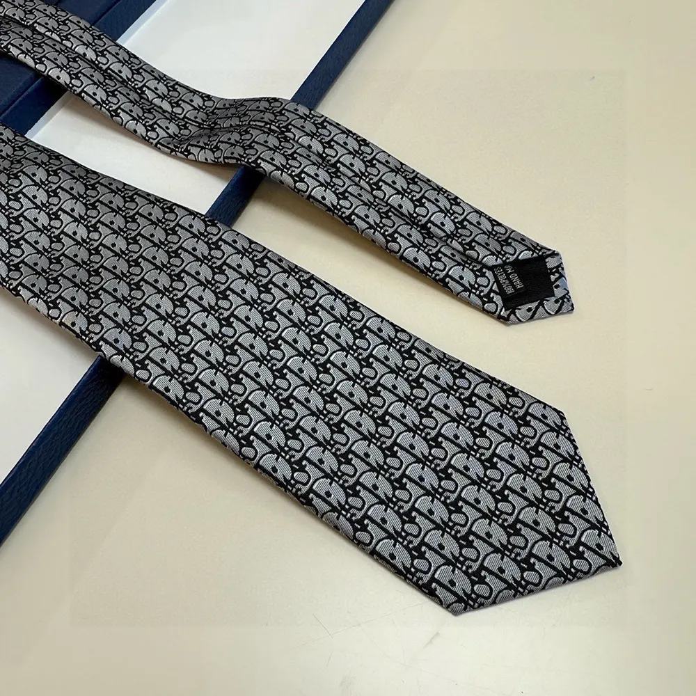 Dior Men Oblique Tie Gray Silk - image 11