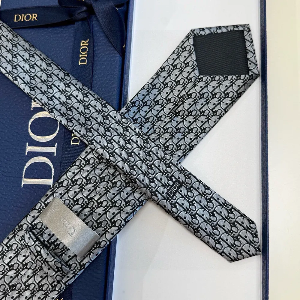 Dior Men Oblique Tie Gray Silk - image 10