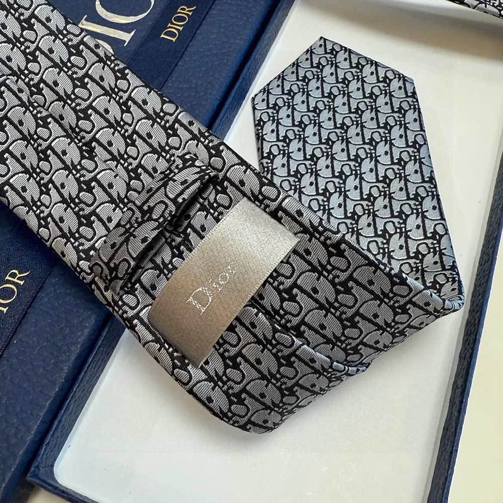 Dior Men Oblique Tie Gray Silk - image 9