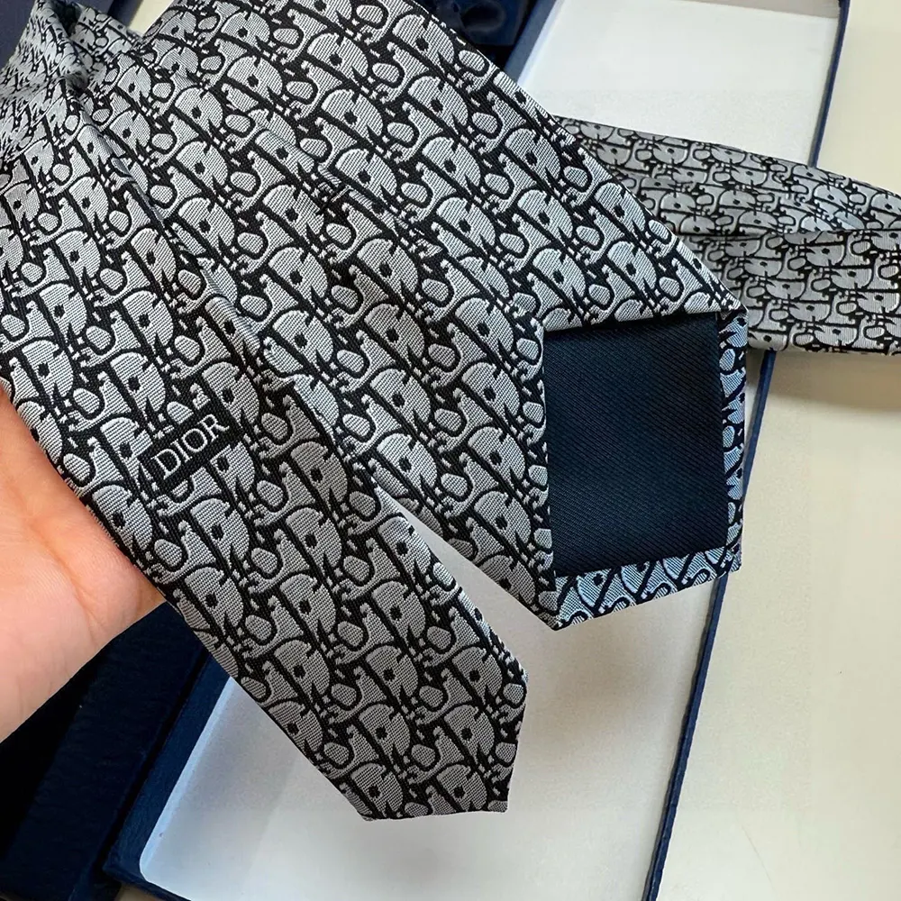 Dior Men Oblique Tie Gray Silk - image 8