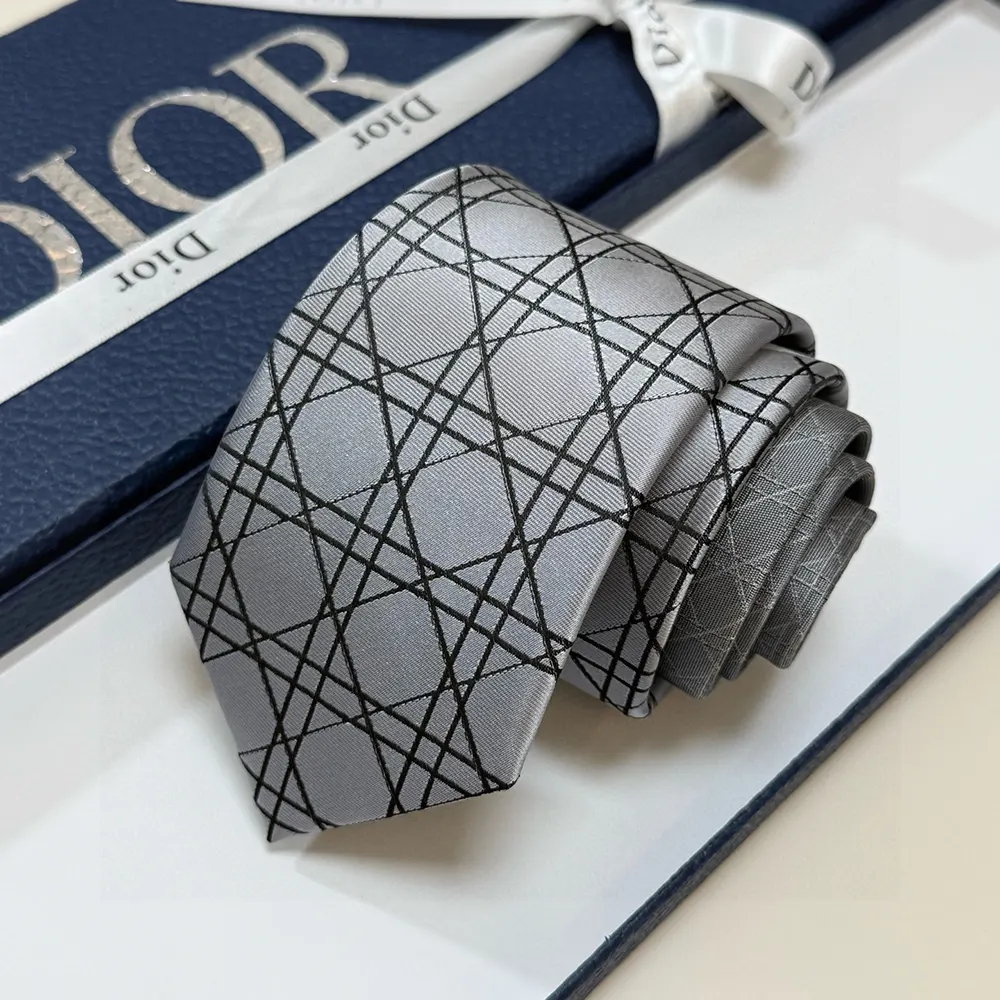 Dior Men Striped Cannage Tie Gray White and Deep Gray Silk - image 6