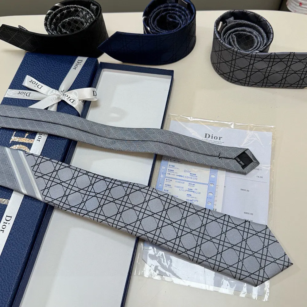 Dior Men Striped Cannage Tie Gray White and Deep Gray Silk - image 5