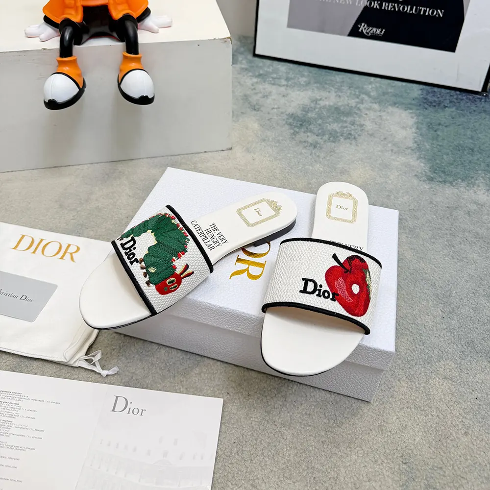 Close-up of multicolor book cover embroidery on Dior Women Dway Slide