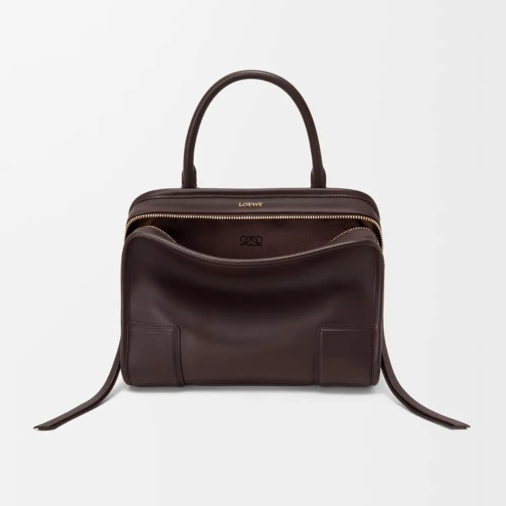Understanding the Loewe Small Amazona Bag Family: Design, Materials, and Sizes
