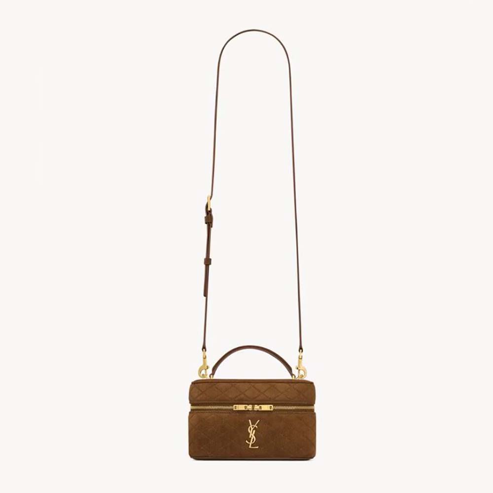 Comprehensive Guide to the Saint Laurent Gaby Vanity Handbag Family