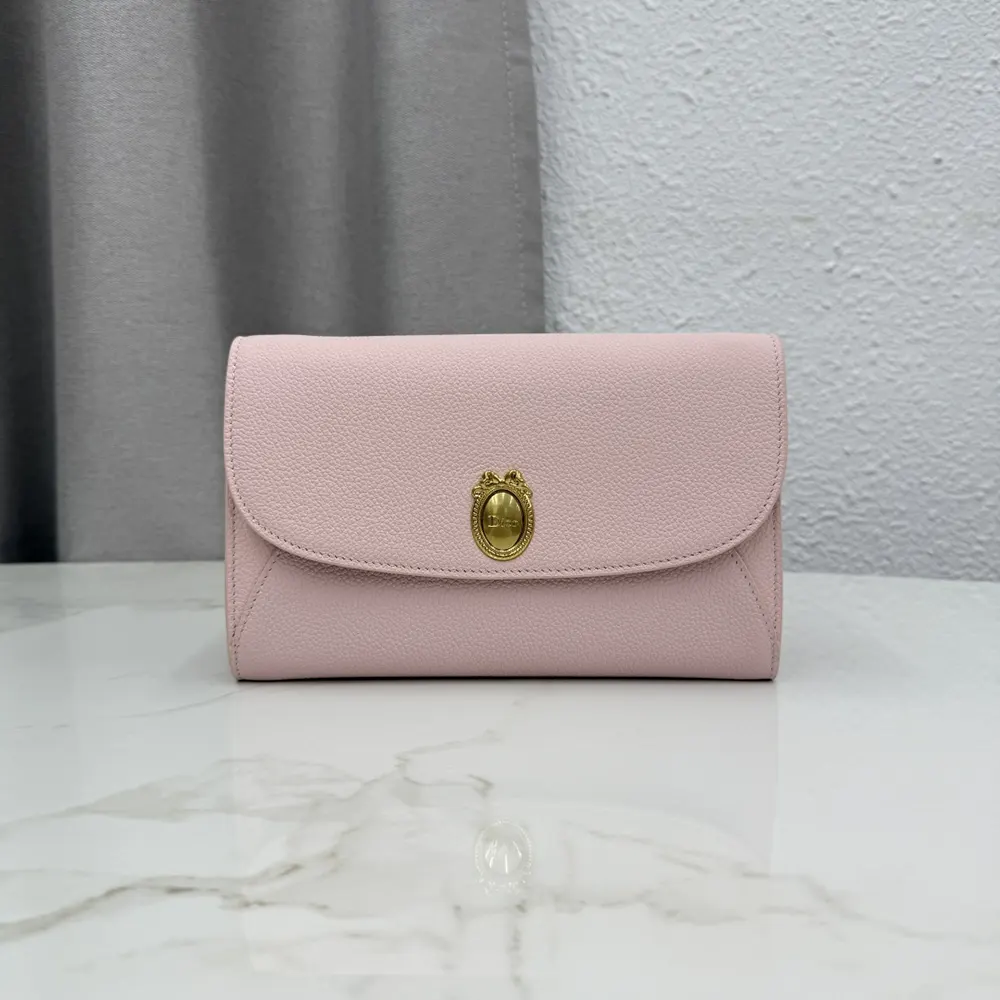 Close-up of silver hardware on Dior Women Médaillon Envelope Pouch